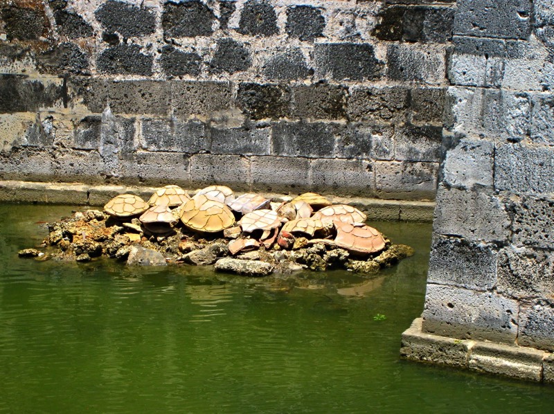 Stacks Image 12915