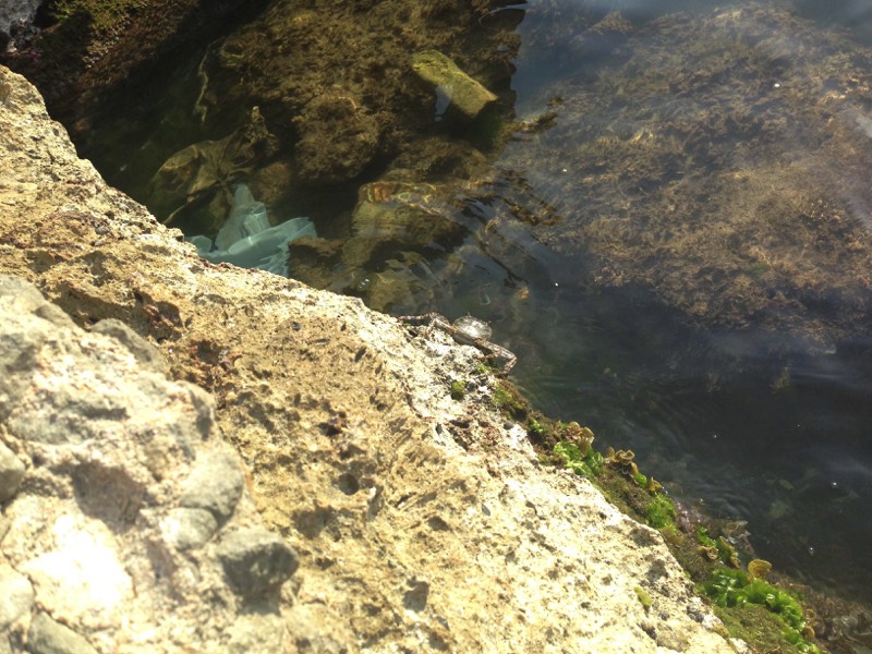 Stacks Image 17078