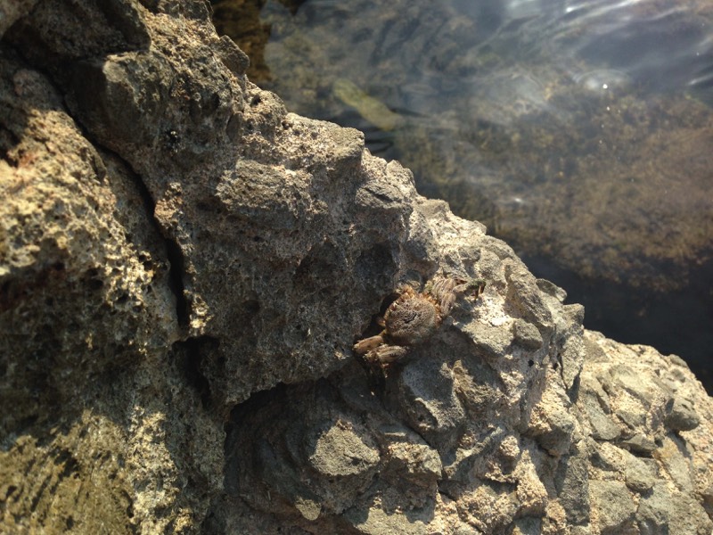 Stacks Image 17066